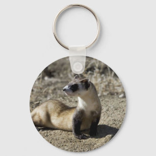 Black-Footed Ferret (captive) Key Ring