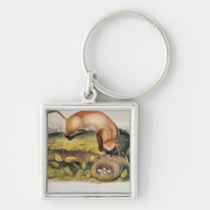 Black-footed Ferret Key Ring