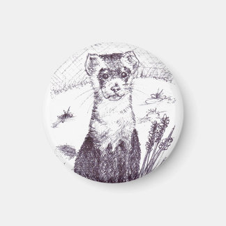 Black Footed Ferret - Magnet