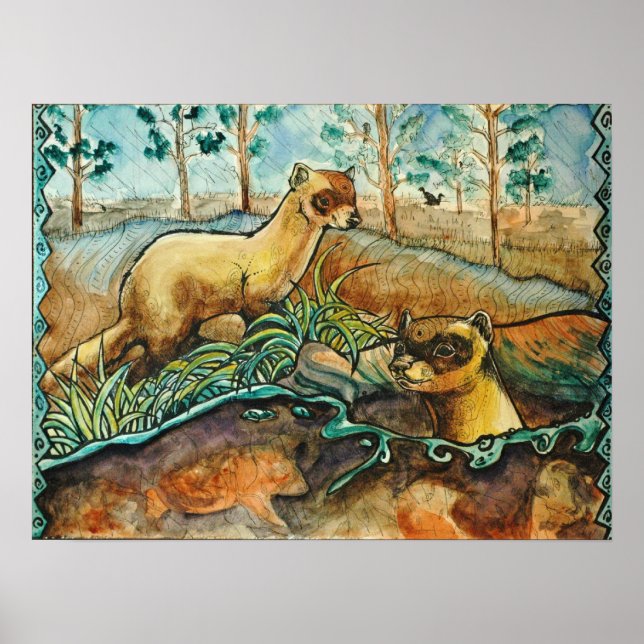 Black Footed Ferrets Poster (Front)