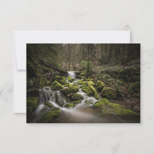 Black Forest Germany Card