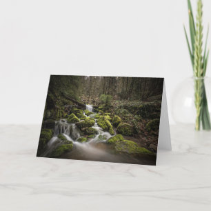 Black Forest Germany Card