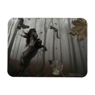Black Forest Magnet