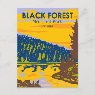 Black Forest National Park Germany Vintage Postcard