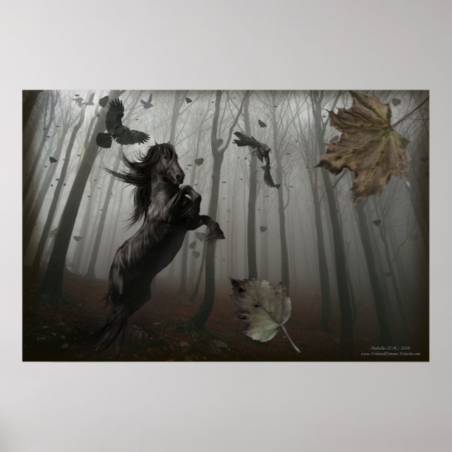 Black Forest Poster (Front)