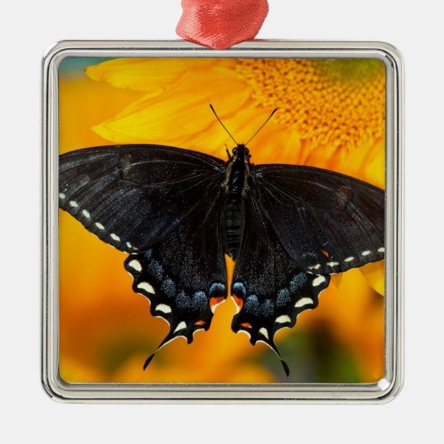 Black Form Of Eastern Tiger Metal Tree Decoration (Front)