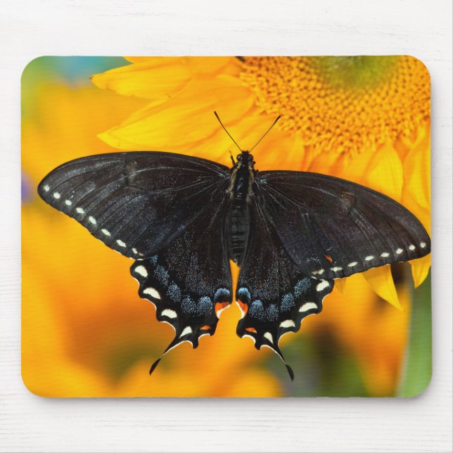 Black Form Of Eastern Tiger Mouse Mat (Front)
