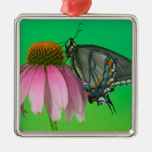 Black Form Of Eastern Tiger Swallowtail Metal Tree Decoration