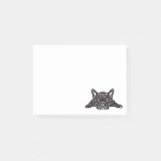 Black French Bull Dog Painted Bulldog Puppy Post-it Notes