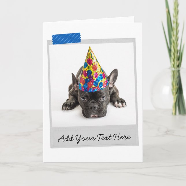 Black French Bulldog Frenchie Funny Card (Front)