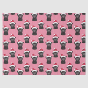 Black French Bulldog Pink Christmas Tissue Paper