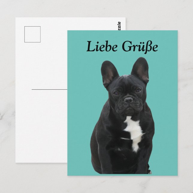 Black French Bulldog Postcard (Front/Back)