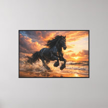 Black Friesian Horse at Sunset, Powerful Beach Run