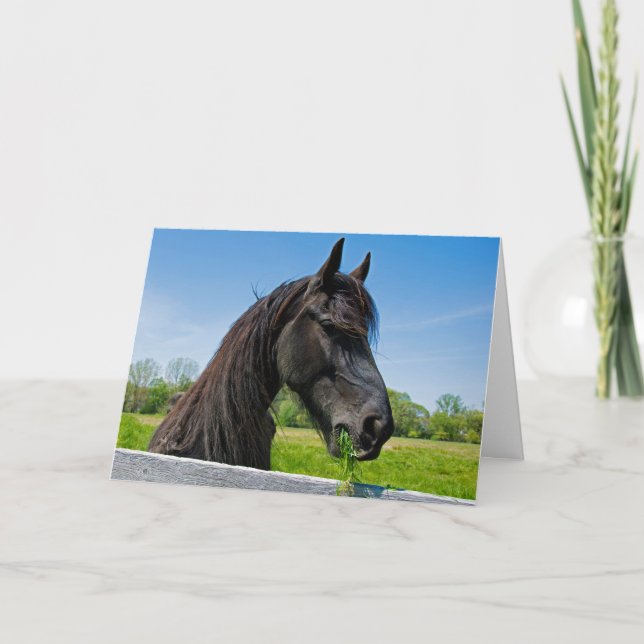 Black Friesian Horse Birthday Card (Front)
