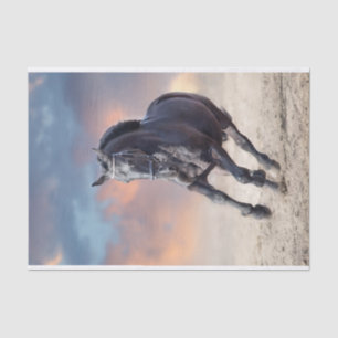 Black friesian horse galloping tissue paper