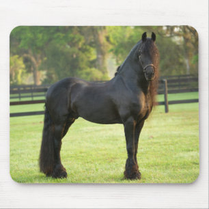 Black Friesian Horse Mouse Mat