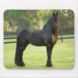 Black Friesian Horse Mouse Mat
