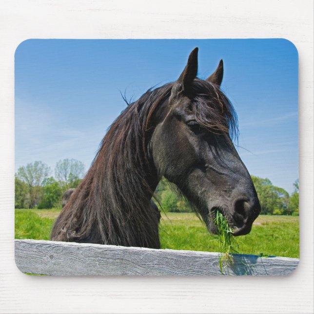 Black Friesian Horse Mouse Mat (Front)