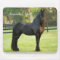 Black Friesian Horse Photo Desk