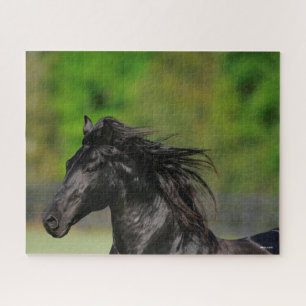 Black Friesian Horse Stallion Headshot Jigsaw Puzzle