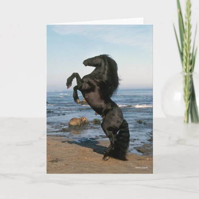 Black Friesian Stallion Rearing On Beach Card (Front)