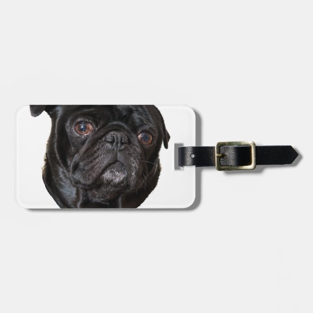 Black Funny Pug Luggage Tag (Front Horizontal)