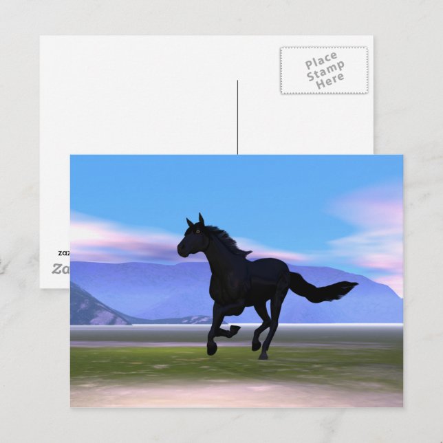Black Galloping Horse Postcard (Front/Back)