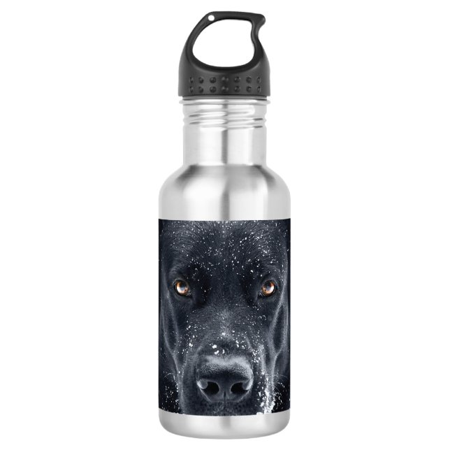 Black German Shepherd 532 Ml Water Bottle (Front)
