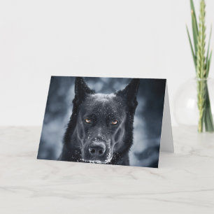 Black German Shepherd Card