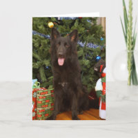 Black German Shepherd Christmas Card