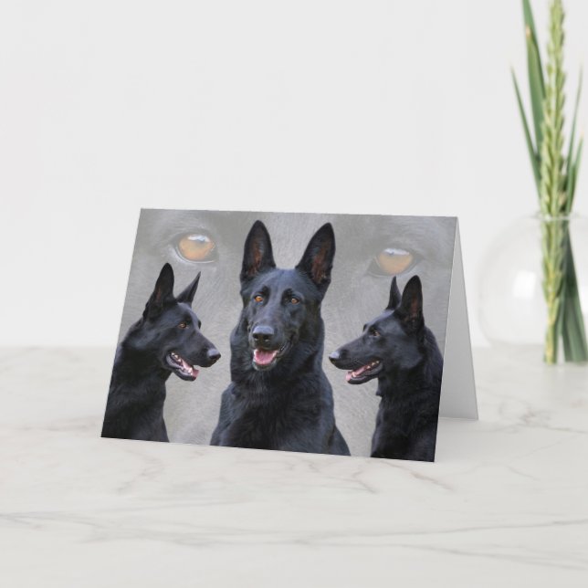 Black German Shepherd Collage Card (Front)