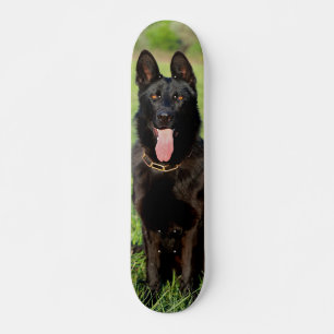 Black German Shepherd Dog Sitting Skateboard