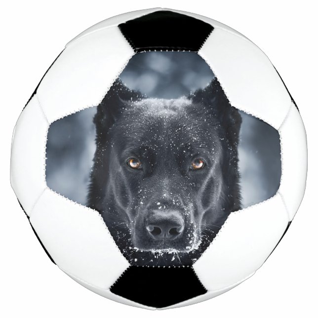 Black German Shepherd Football (Front)