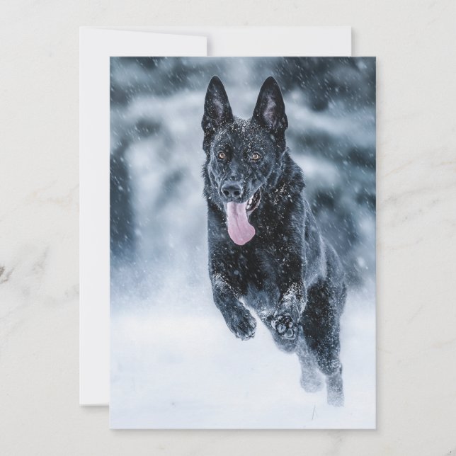 Black German Shepherd in snow Duvet Cover Holiday Card (Front)
