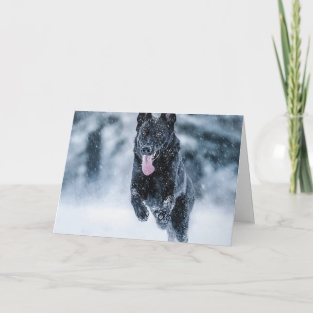 Black German Shepherd in snow Duvet Cover Holiday Card (Front)
