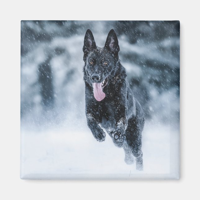 Black German Shepherd in snow Duvet Cover Magnet (Front)