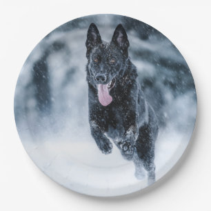 Black German Shepherd in snow Duvet Cover Paper Plate