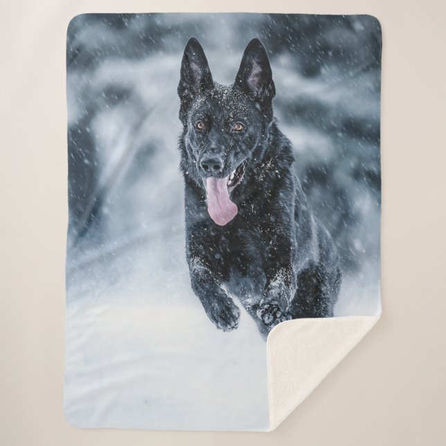 Black German Shepherd in snow Duvet Cover Sherpa Blanket (Front)