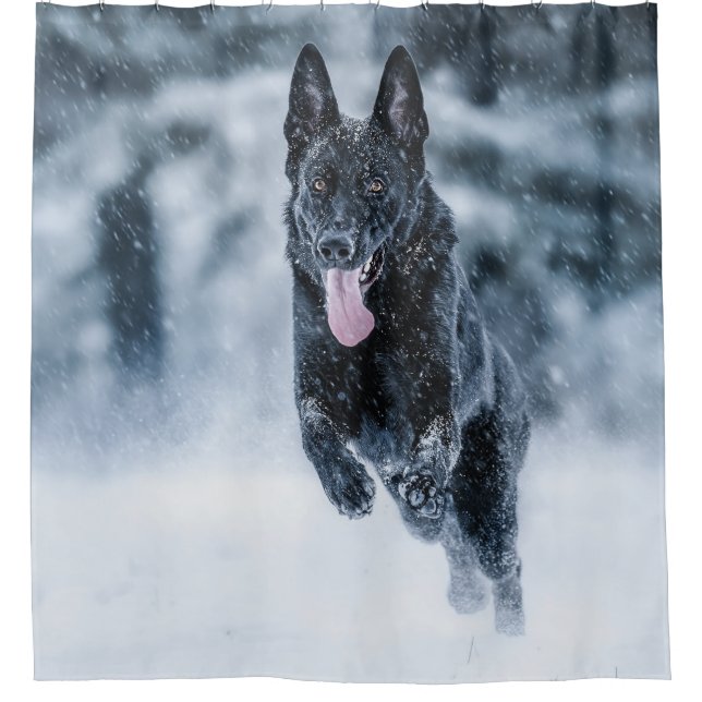 Black German Shepherd in snow Duvet Cover Shower Curtain (Front)