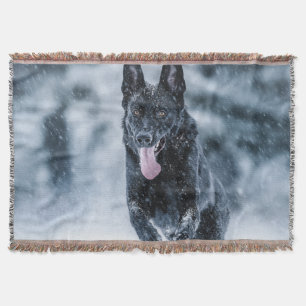 Black German Shepherd in snow Duvet Cover Throw Blanket