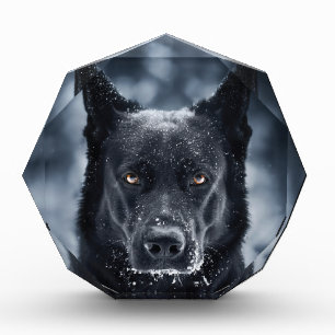 Black German Shepherd Photo Block