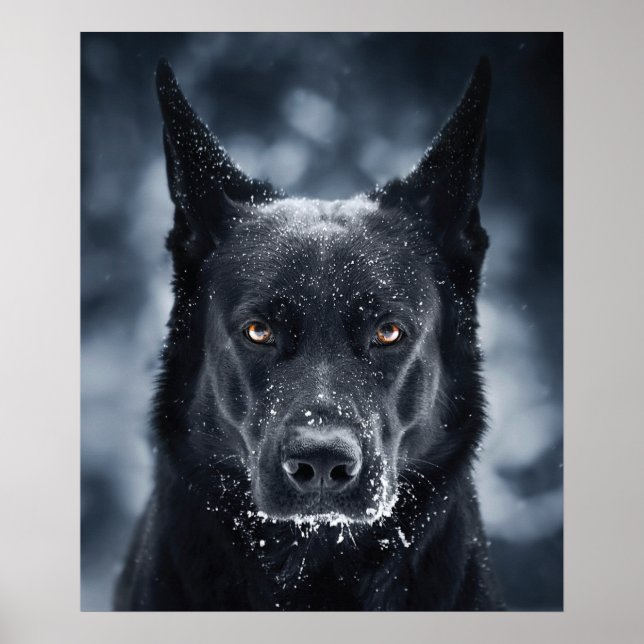 Black German Shepherd Poster (Front)