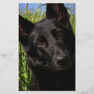black german shepherd stationery