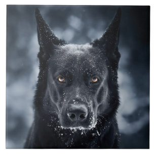 Black German Shepherd Tile