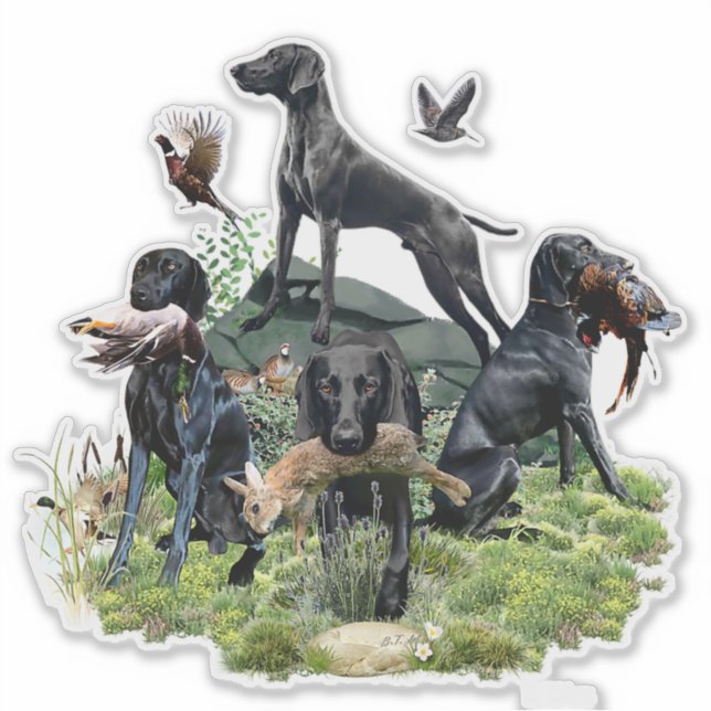Black German Shorthaired Pointers    (Front)