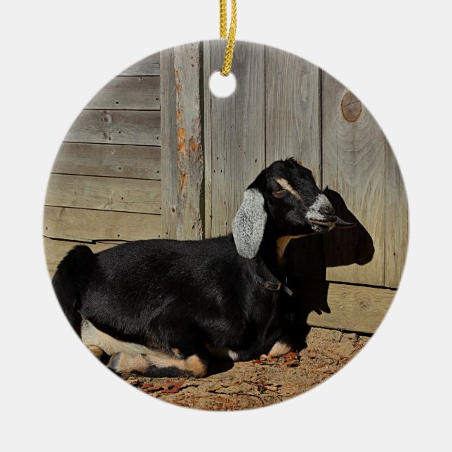 Black goat ceramic tree decoration (Front)