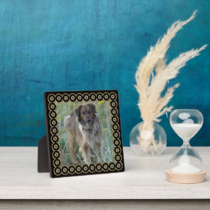 Black Gold Frame Photo Template Plaque