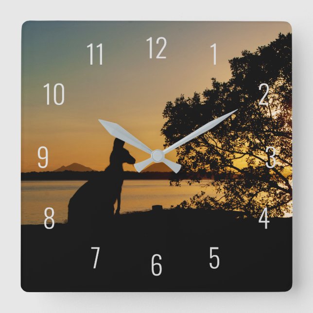 Black & Gold Sunset Australia Kangaroo Outline Square Wall Clock (Front)