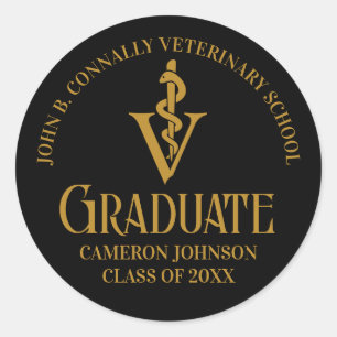 Black Gold Veterinary School Graduation Party Classic Round Sticker