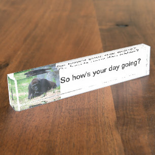 Black Gorilla So How's Your Day Going? on Nameplate